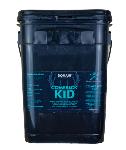 DOMAIN CBKFP375   COMEBACK KID
