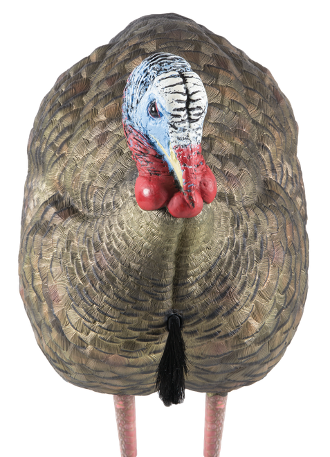 Avian X AVXAVX8012 LCD Half-Strut Jake Turkey Species Multi Color Dura-Rubber