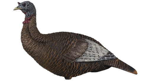 FLEXTONE FLX-FLXDY315 THUNDER CHICK UPRIGHT