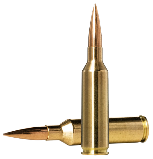 Norma Ammunition 10166462 Dedicated Precision Golden Target Match 6.5PRC 143gr Hollow Point Boat Tail 20 Per Box/10 Case