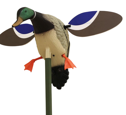 Mojo Outdoors HW4401 Baby Mojo Drake Mallard Species Multi Color Synthetic