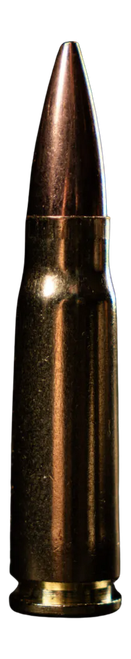ATOMIC 88431 762         220 TCSSUB-20       20/10