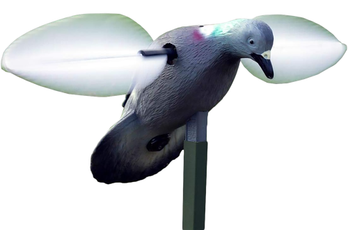 Mojo Outdoors HW2410 Pigeon  Species Multi Color Plastic