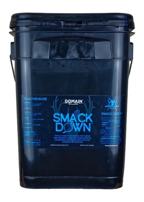 DOMAIN SDFP3      SMACK DOWN