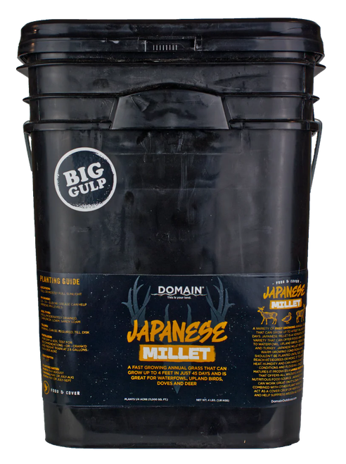 DOMAIN DJMS4LB    JAPANESE MILLET
