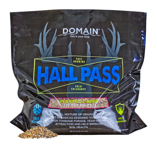 DOMAIN HPFP20      HALL PASS