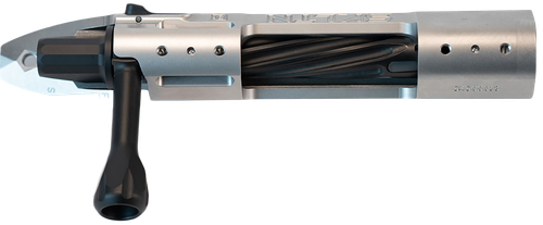 P2 IN-00281 SKLTN SA LH STANDARD SS