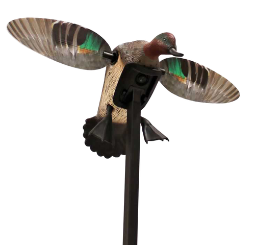 Mojo Outdoors HW24743P Elite Series Green Winged Teal Duck Species Natural Molded Plastic Features Remote Compatible