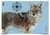 Birchwood Casey 35405 Pregame  Coyote Paper Hanging Rifle 16.50" x 24" Impact Enhancement Yes 3 Per Pkg