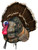 MONTANA DECOY TKY WILEY TOM 3D