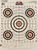 Champion Targets 45726 Score Keeper  Bullseye Paper Hanging 100 yds Pistol/Rifle 14" x 18" Multi-Color 12 PK