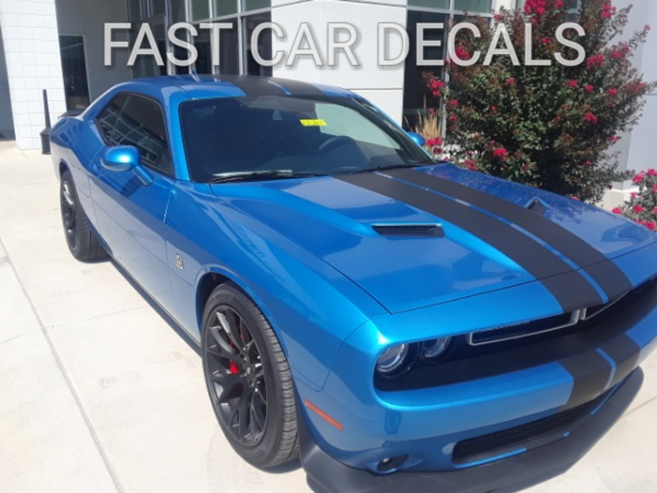 Dodge Challenger Racing Stripes 15 CHALLENGE RALLY 2015-2021