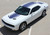 front angle of 2017 Dodge Challenger Shaker Stripes SHAKER 2015-2024