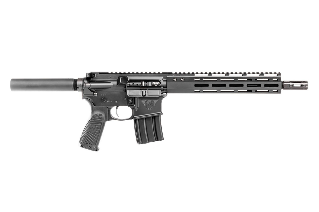 Wilson Combat Protector, Wils Tr-pp-300h13-bl Protectr Pstl 300hamr No Brce