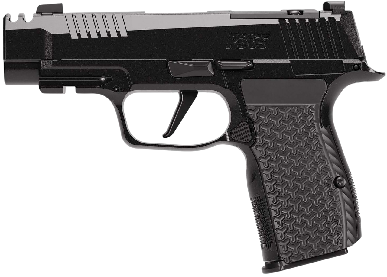 SIG 365AXG380COMPLUXE P365 380 3.1 OR 12R