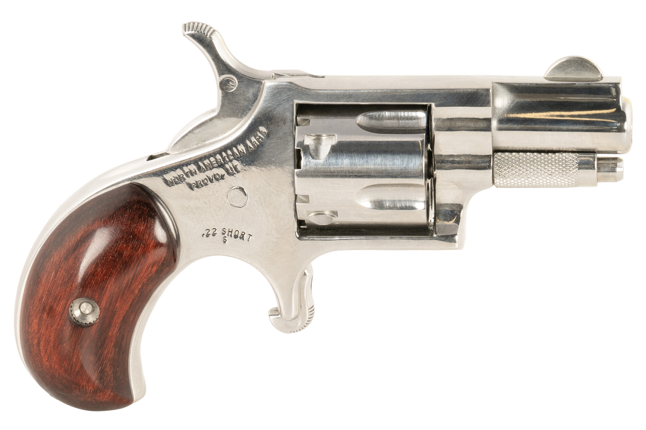 NAA SDLX 22S HIGH POLISH 1-1/8 BARREL