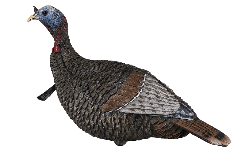 FLEXTONE FLX-FLXDY317 THUNDER JAKE