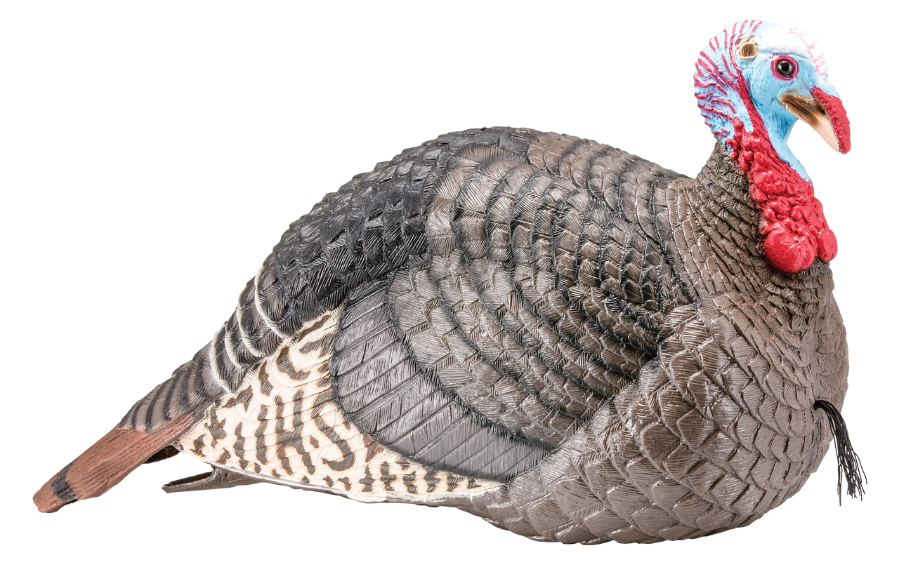 HS 100003 STRUT-LITE JAKE DECOY