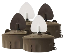 Mojo , Mojo Hw2531   Flock A Flicker 2 Mojo , Mojo Hw2531   Flock A Flicker 2