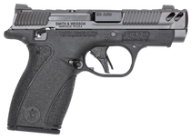 S&W BODYGRD 2.0 PC 14418 380 3.1     2X10R GRY/BLK