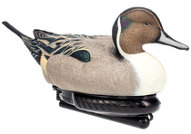 AVIAN AVX-PSW-PNSW  POWER SWIMMER PINTAIL DRAKE