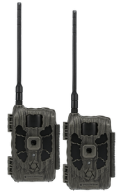 STEAL STC-DCPTRX3C-2PK DECEPTOR MAX 3.0 50MP 2PK