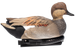 AVIAN AVX-PSW-GDSW  POWER SWIMMER GADWILL DRAKE