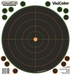 Champion Targets Visicolor, Champ 46136 8in Bulls Eye 5pk W/40 Pasters