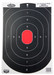 BIR 35601 DIRTYBIRD 12X18 OVAL SIL TARGETS   100