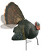 Primos Killer B, Prim 69021   Killer B Decoy