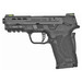 Smith & Wesson Pc Shield 9mm 8rd Black Ts Ns Ez