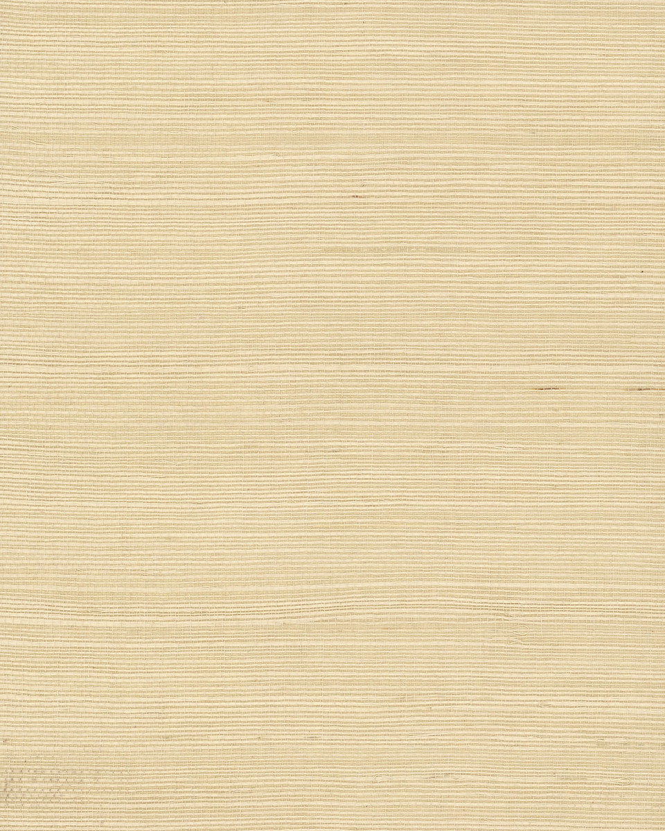 Magnolia Home Plain Grass Wallpaper Mullers Paint Design Co