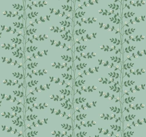 Climbing Vine Soft Teal Wallpaper