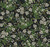 Cornflower Wallpaper Black/Green