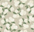 Hydrangea Wallpaper Beige