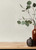 Cullen White Faux Linen Wallpaper