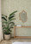 Sagecrest Sage Sapling Wallpaper
