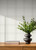 Auberge White Plaid Wallpaper