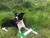 IMG_8599.jpeg