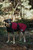 Atlas Robe V2 Merlot