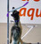 il_1588xN.1920293071_4nfq.jpg