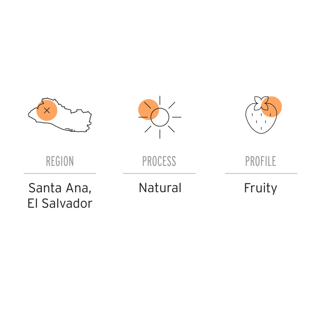 Region: Santa Ana, El Salvador. Process: Natural. Profile: Fruity