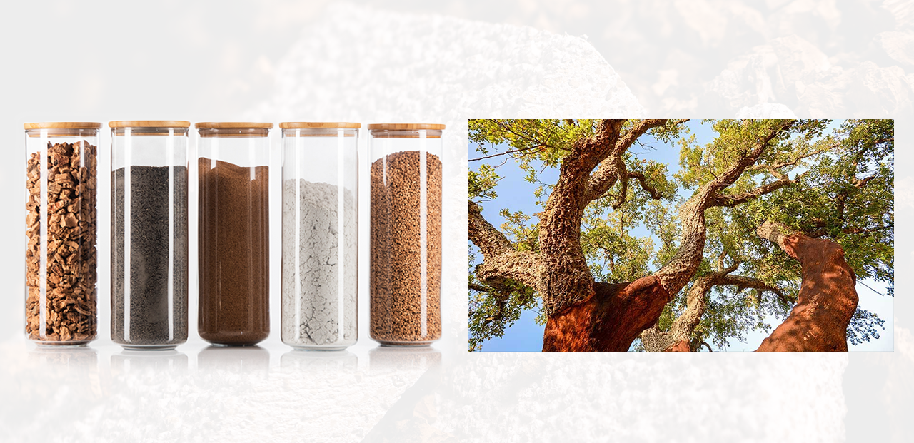 DIASEN – Când știința se îmbină cu natura. Materiale de construcție naturale