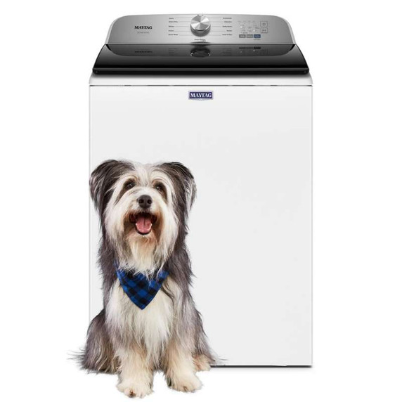 Maytag® Pet Pro Top Load Washer - 5.4 cu. ft. IEC MVW6500MW