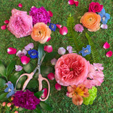 Father’s Day Flower and Plant Gift Guide: Same-Day Flower Delivery in Spokane, WA