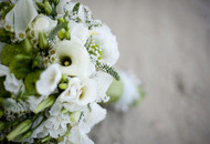  Get to Know the Loveliest Flowers for Weddings