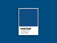 Pantone Color Of The Year 2020: What This Means For Flowers