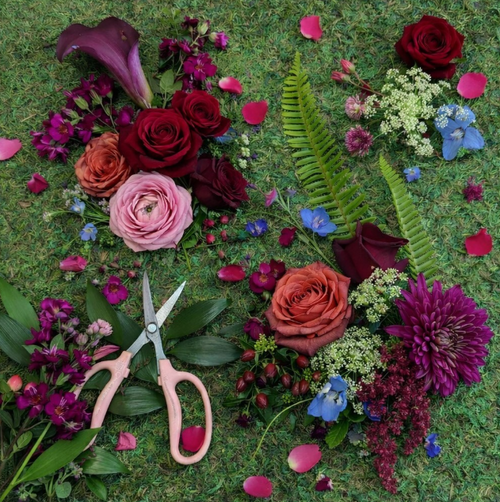 Designer's Choice- Bold & Beautiful