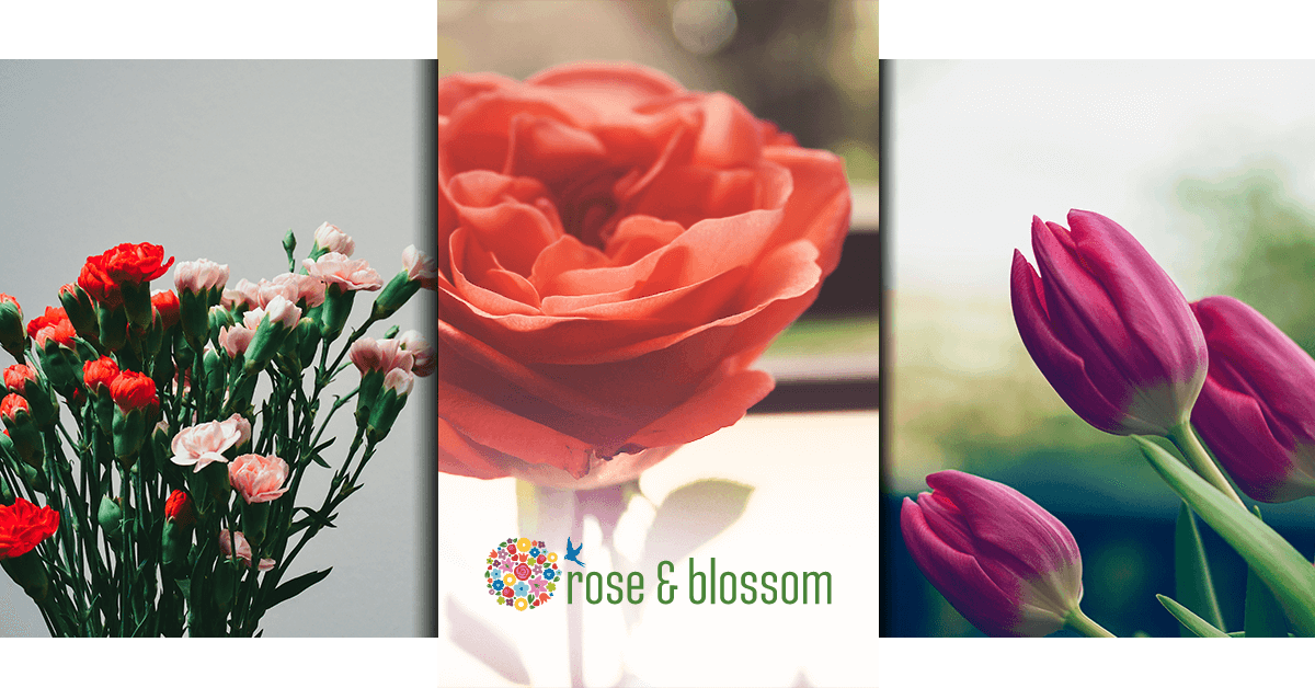 What’s the Best Floral Arrangement for Mother’s Day? Rose & Blossom