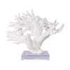 Branch Coral On Acrylic Base - 4 Sizes